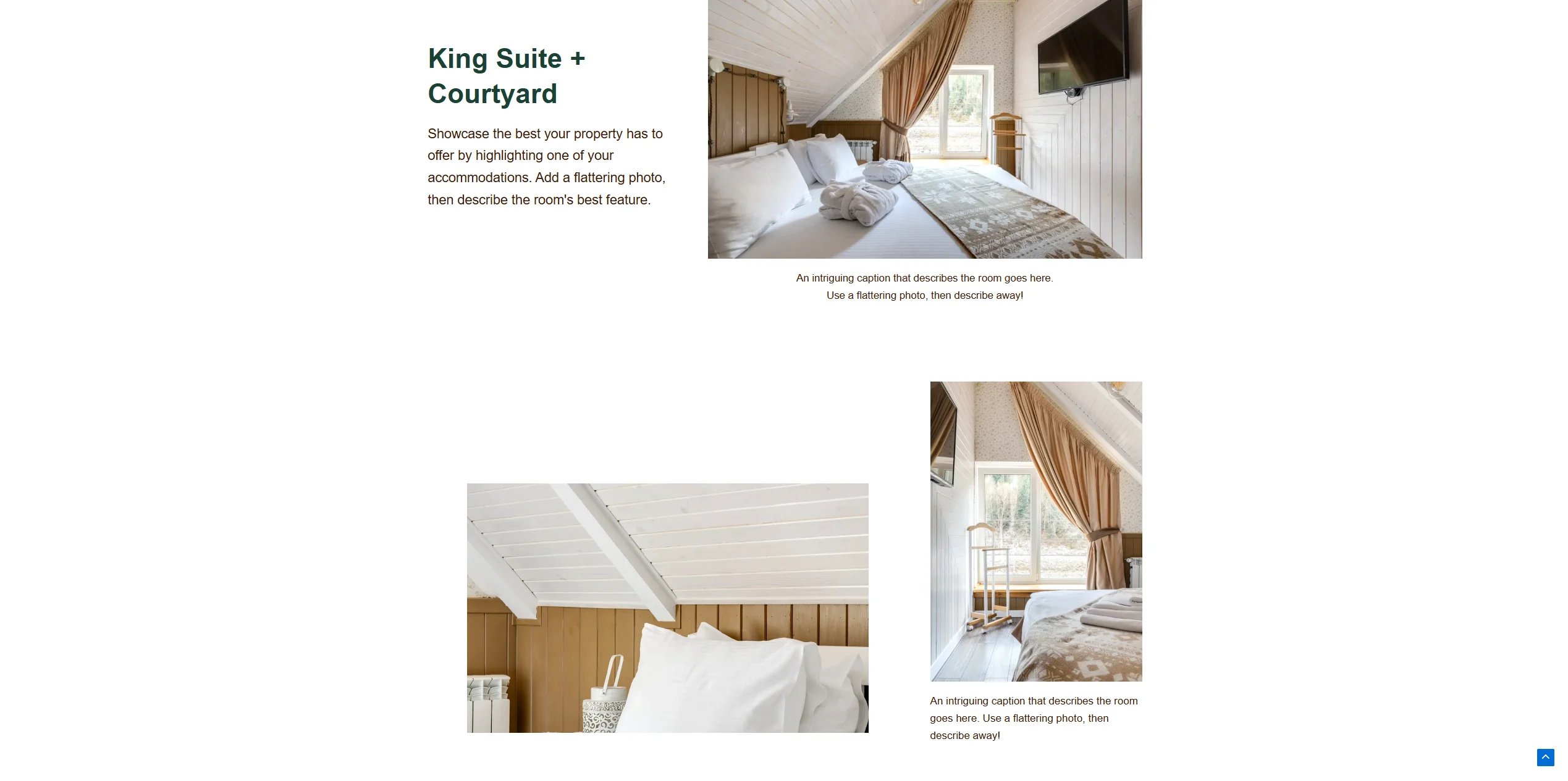 Screenshot 2026-02-17 205202