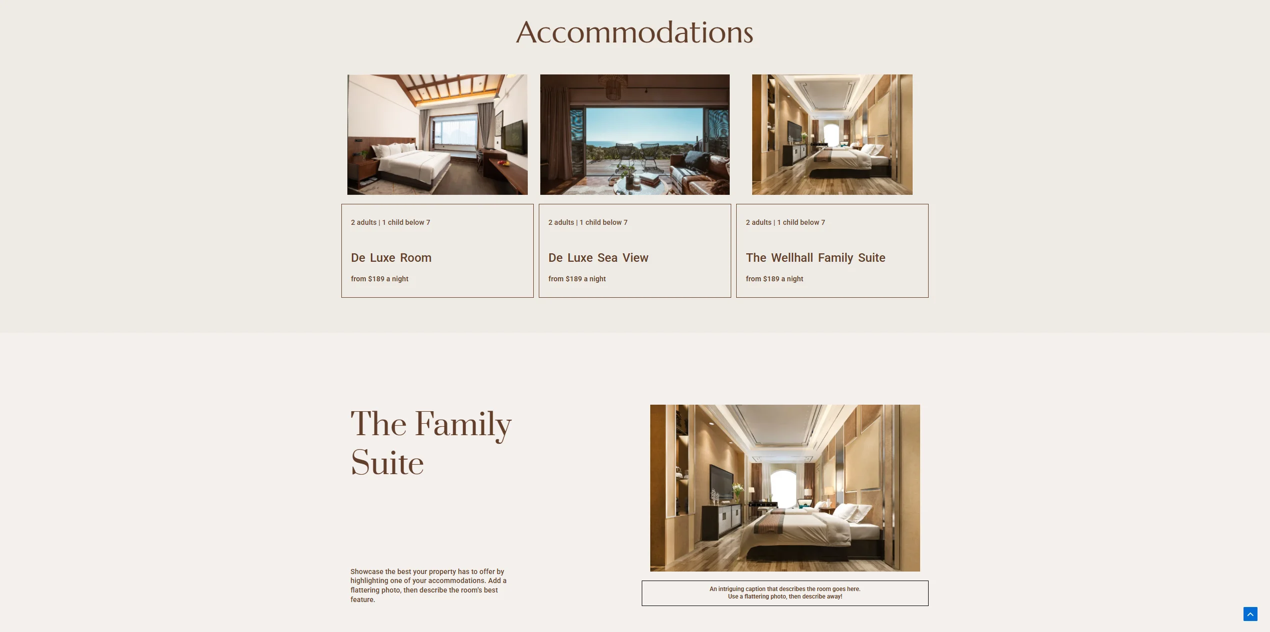 Screenshot 2026-02-17 215327